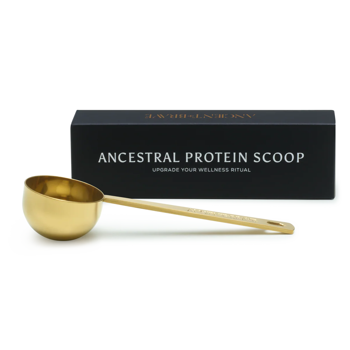Ancestral Protein Scoop - Image 5