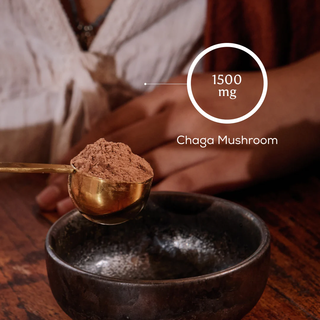 Cacao + Chaga - Image 5