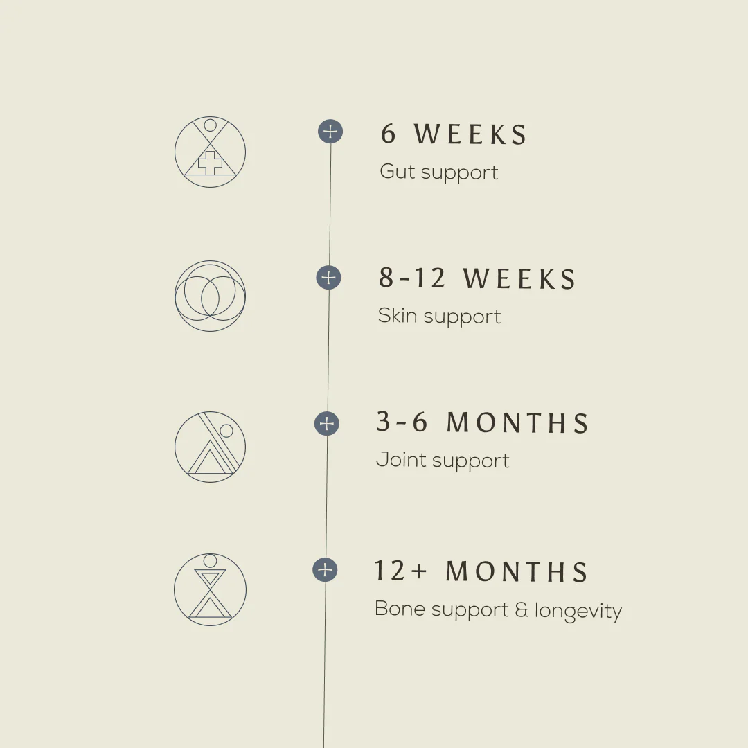 True Collagen - Gift Subscription - Image 8